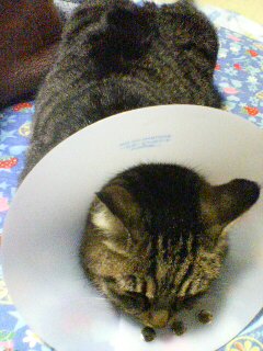 (untitled)