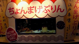 (untitled)