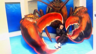 (untitled)