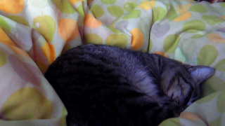 (untitled)