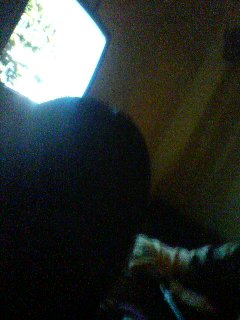 �I�P�p